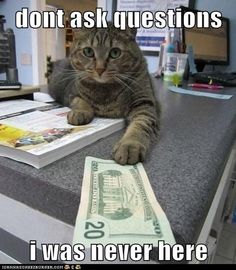 4dea8508dbade22eefad2a4f1753a786