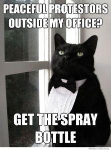 one-percent-cat-get-the-spray-bottle
