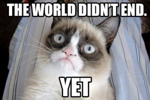 grumpy-cat-has-not-given-up-the-hope-funny-pic