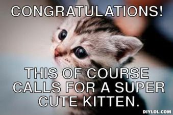 2380738-1462597759167-congrats_cat