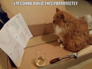 im-gonna-build-this-purrrfectly
