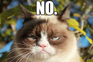 No - grumpy cat