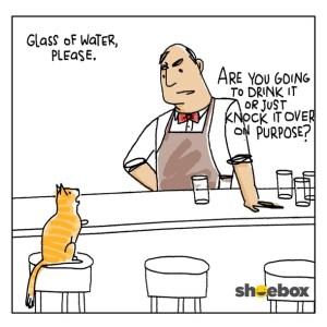 cat-walks-into-a-bar-157999