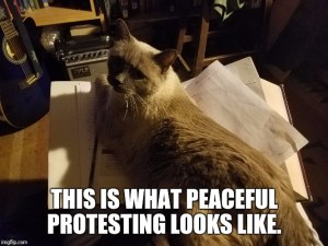 peacefulprotest