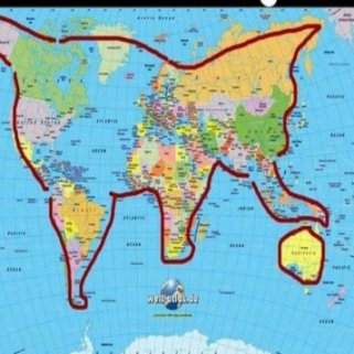 world is a cat