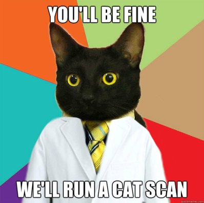 cat scan