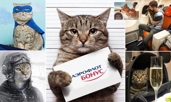 Fat cat Victor Aeroflot