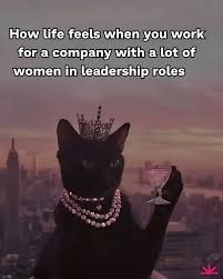 women leader cat